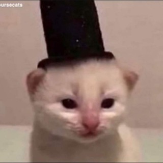 Telegram profile photo for Weird Hambposting