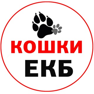 Telegram profile photo for Кошки бесплатно в добрые руки ЕКБ и СО