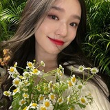 Telegram profile photo for Archive Alea Ress