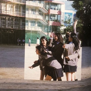 Telegram profile photo for damsel’s, the reveal phrase of sophomore. 1985 📠