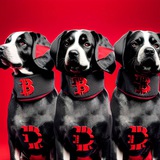 Telegram profile photo for TRUSTDEV STUDIO