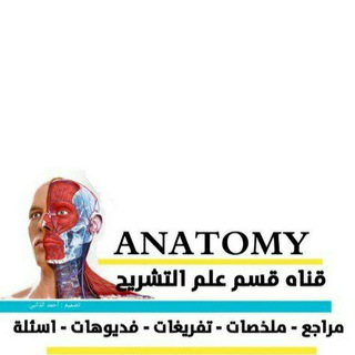 Telegram profile photo for Anatomy