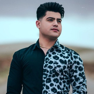Telegram profile photo for amirhafez_music🎼