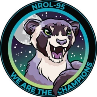 Telegram profile photo for The SpaceX Ferret