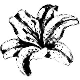 Telegram profile photo for ассоциации😬
