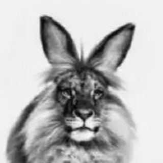 Telegram profile photo for Черемша