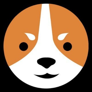 Telegram profile photo for WELSH PORTAL