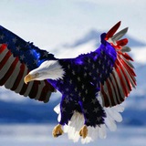 Telegram profile photo for WE R UNITED