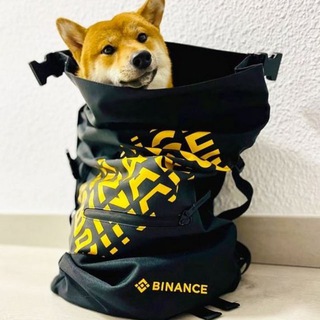 Telegram profile photo for KAI - Guardian Dog BNB