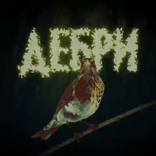 Telegram profile photo for ДЕБРИ