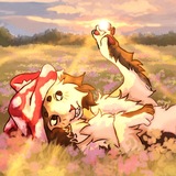 Telegram profile photo for Better Call Neo 💛 | Mushroom