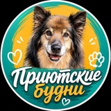 Telegram profile photo for Приютские Будни