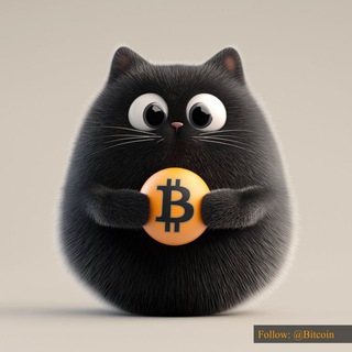Telegram profile photo for Bitcat