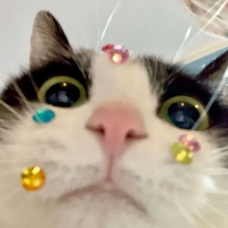 Telegram profile photo for ворчание эми