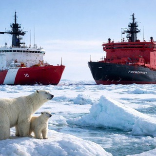 Telegram profile photo for Битва за Арктику 🐻❄️🧊❄️