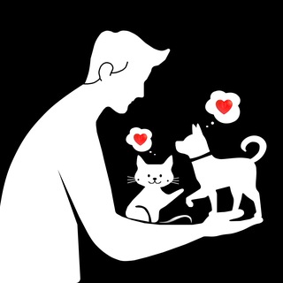 Telegram group profile photo for The Open Heart | Chat