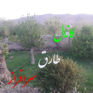 Telegram profile photo for طارق سرافراز