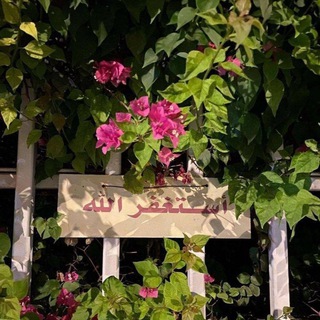 Telegram profile photo for الطريق إلى الجنه .