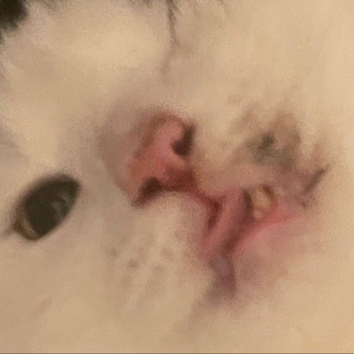 Telegram profile photo for Дорожник