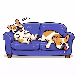 Telegram profile photo for Бульдоги на диване