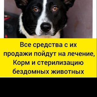 Telegram profile photo for Ярмарка товаров в пользу бездомных животных