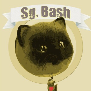 Telegram profile photo for Sg. Bash RYTP