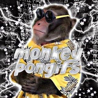 Telegram profile photo for monkey pon | gifs