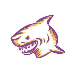 Telegram profile photo for Cripto Trading Senales Gratis Binomo