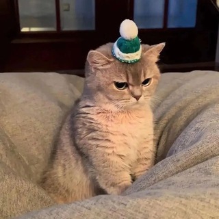 Telegram profile photo for Grumpie Portal