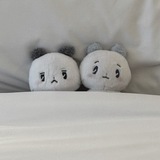 Telegram profile photo for sieonstocks