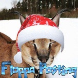 Telegram profile photo for Floppa posting🐱