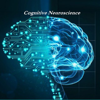 Telegram profile photo for Cognitive Neuroscience