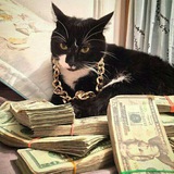 Telegram profile photo for Розыгрыши $/голда standoff 2