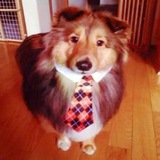 Telegram profile photo for Димас чиркает
