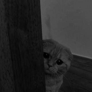 Telegram profile photo for Siqlgan videola💔☹️