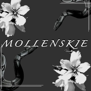 Telegram profile photo for MOLLENSKIE