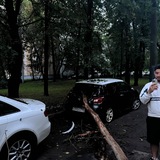 Telegram profile photo for Славяне