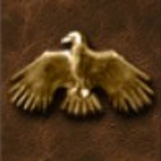 Telegram profile photo for Чи їдять кошенята кажанят?