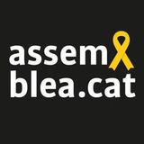 Telegram profile photo for Assemblea Manresa