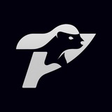 Telegram profile photo for ГК Photonix Group