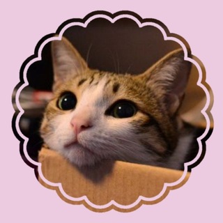 Telegram profile photo for ˗ˏˋ Продажа юзеров conf౨ৎ