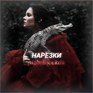Telegram profile photo for Нарезки по пищеблоку.