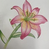 Telegram profile photo for My creative corner
