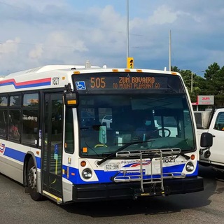 Telegram profile photo for Pind Brampton Jobs
