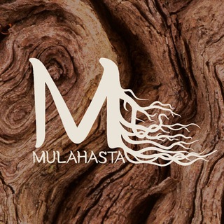 Telegram profile photo for MULAHASTA | НОВОСТИ