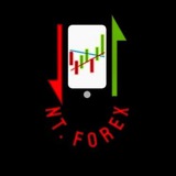 Telegram profile photo for NT Forex