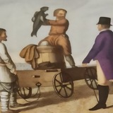 Telegram profile photo for Тюленятник и все-все-все