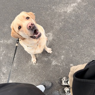 Telegram profile photo for Лиза и Эви ❤️