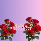 Telegram profile photo for ROSE PROjECT 🌹
