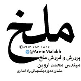 Telegram profile photo for 2020